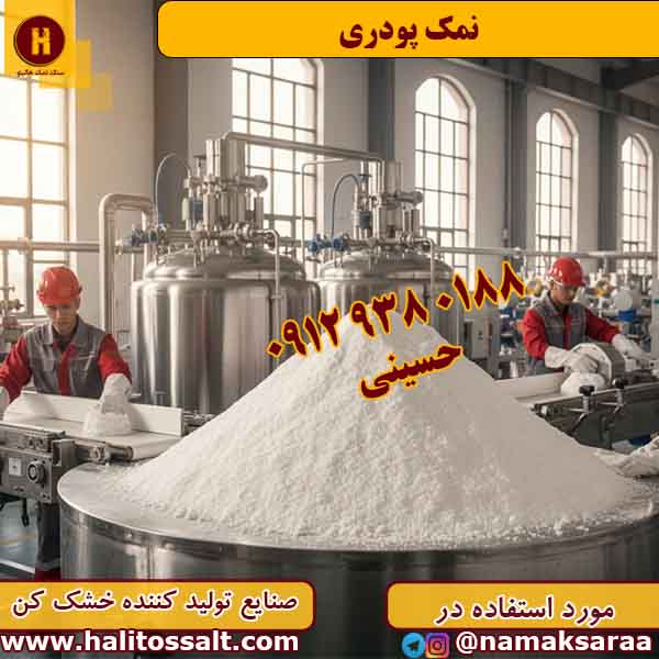 نمک پودری