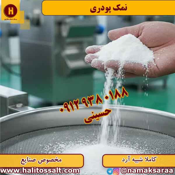نمک پودری