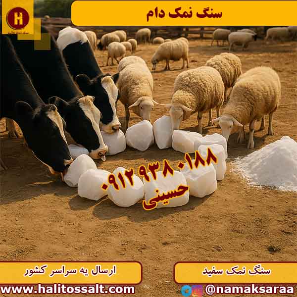 سنگ نمک دام